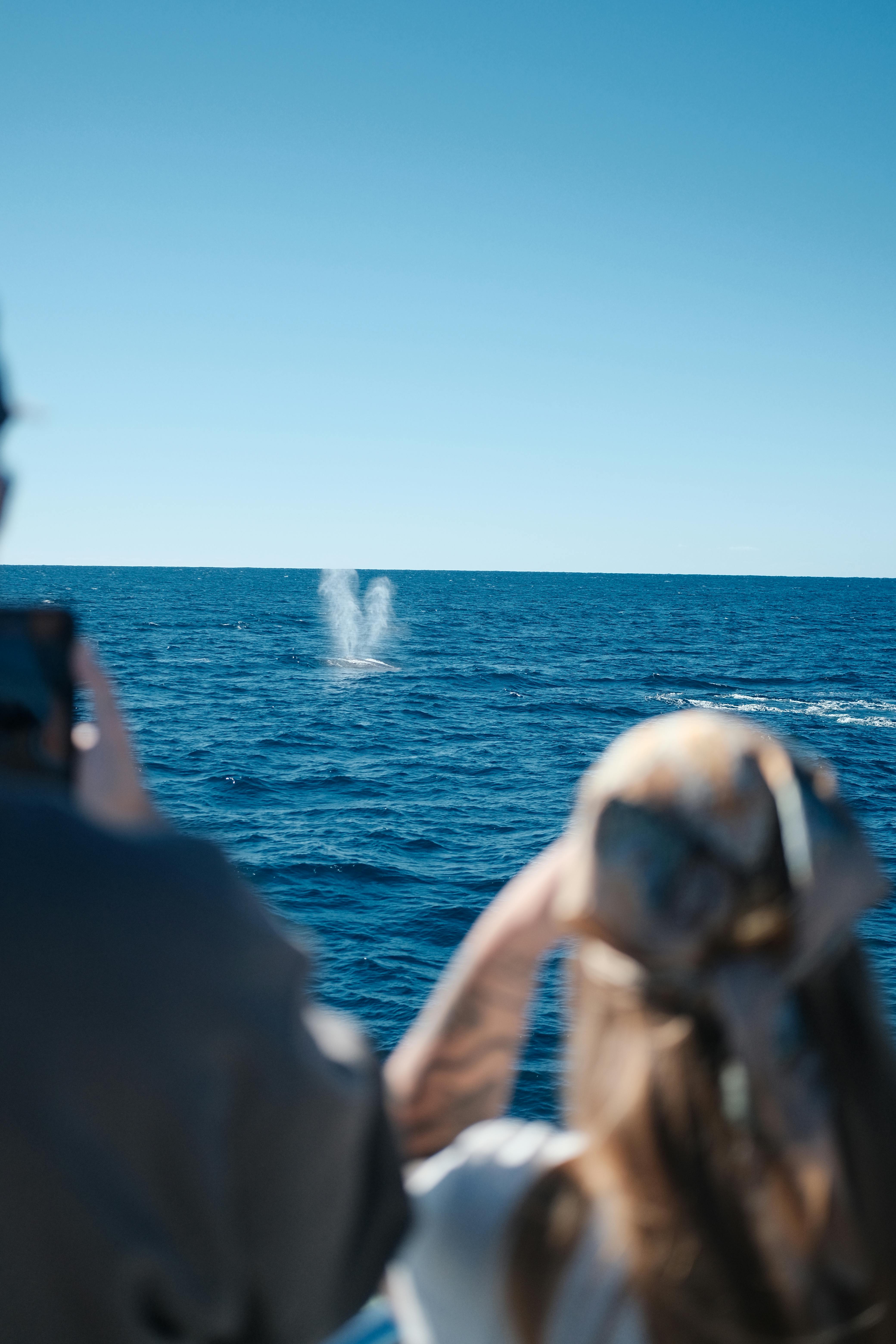 Couple whale watching in Mirissa