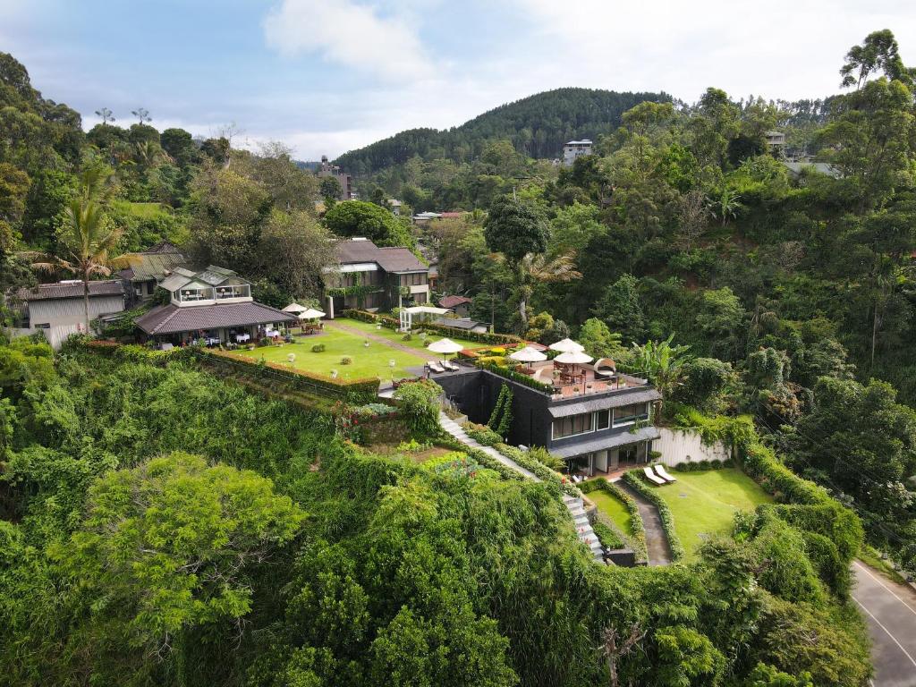 Nature Ella honeymoon hotel