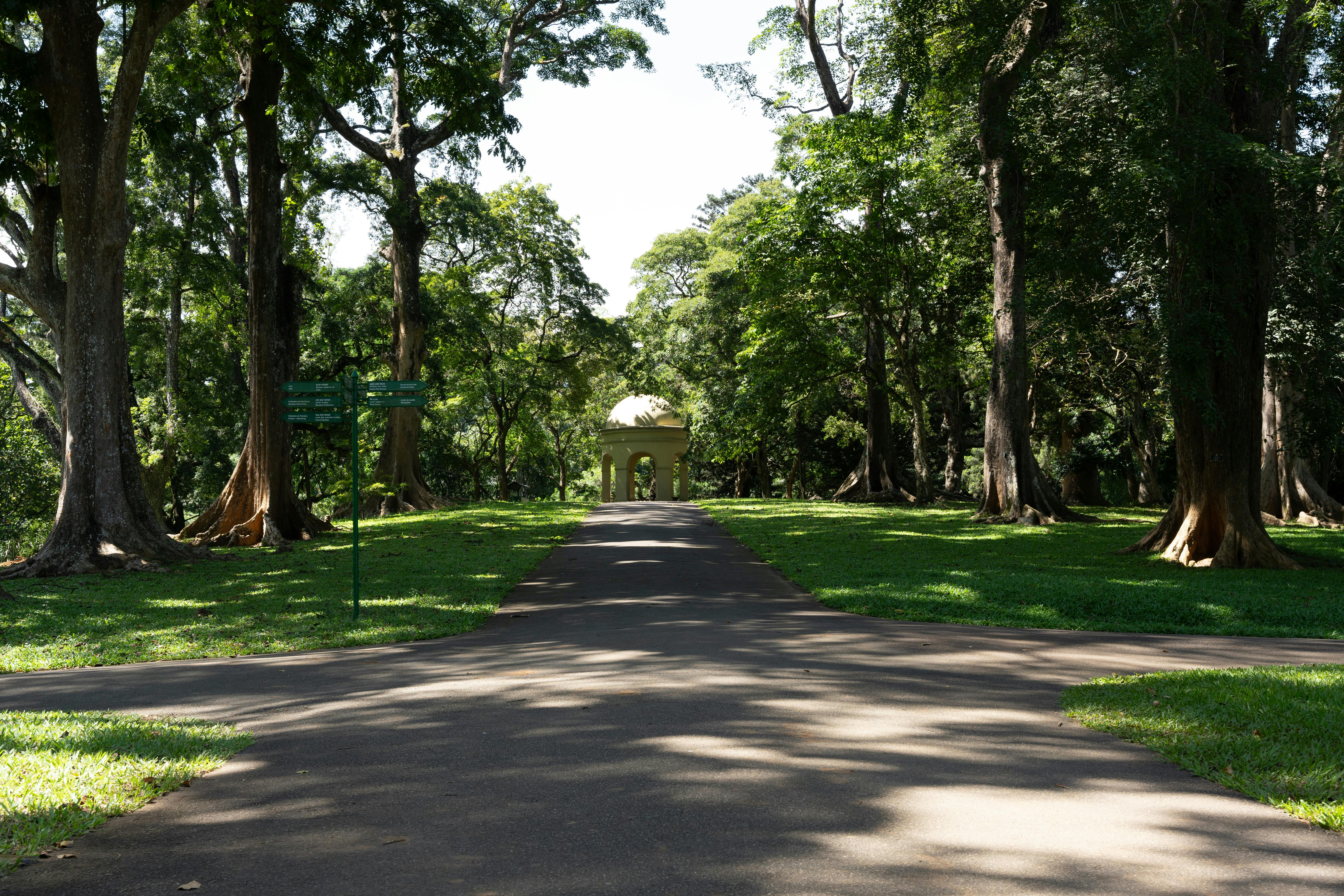 Peradeniya Botanical Gardens