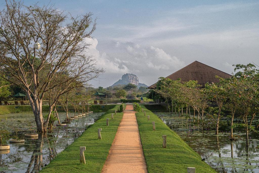 Private sunrise climb at Sigiriya Rock Fortress